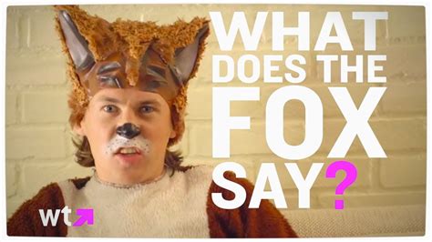 what does the fox say music video What does the fox say in terms of music videos?