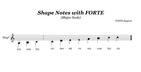 What Is a Forte in Music and Its Multi-Layered Interpretation